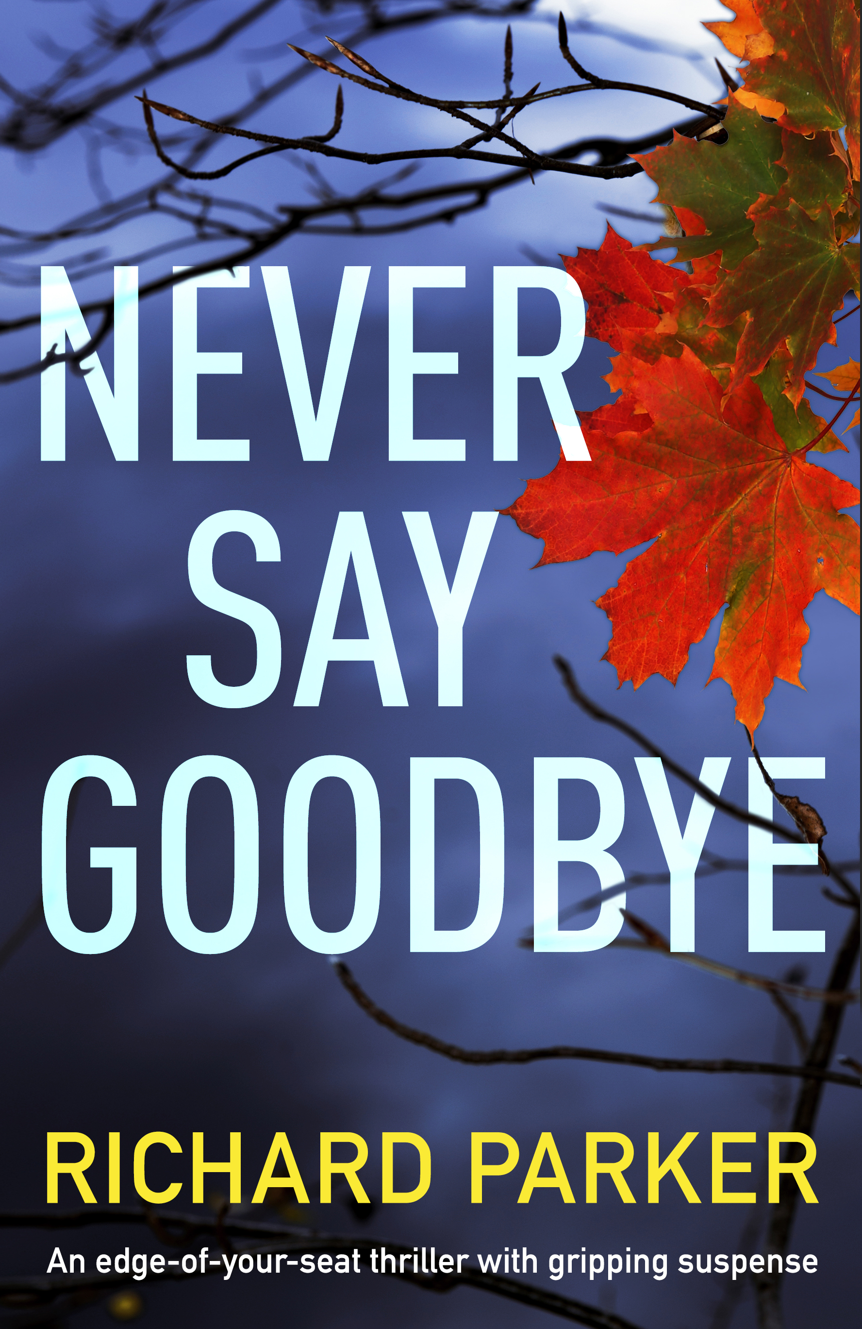 Never_Say_Goodbye_eBook.jpg